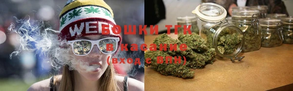 шишки Белокуриха